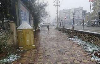 Silvan kara teslim oldu