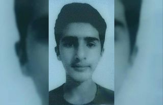 Sincap avına çıkan 15 yaşındaki çocuk kazara...