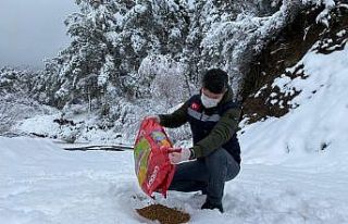 Sındırgı’da doğal hayat unutulmadı