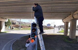 Sinop’ta kazada hasar gören trafik lambası değiştirildi