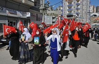 Şırnak annelerinden HDP’ye tepki: "Zenginler...