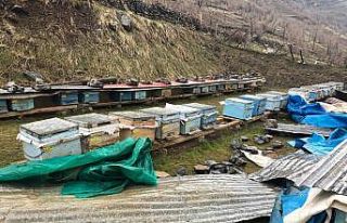 Şırnak’ta fırtına etkili oldu