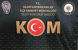 Şırnak’ta kaçakçılık operasyonu: 49 gözaltı