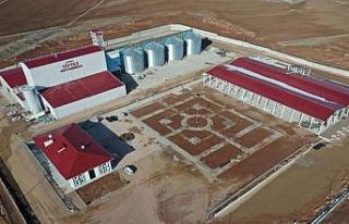 Sivas’ta üretilen ilk yemler torbalara doldu