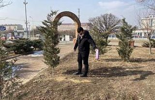 Sokak hayvanları için doğaya yem bıraktı