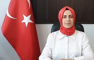 Sokak hayvanları için yeni yaşam alanı önerisi