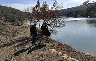 Sokak hayvanları unutulmadı