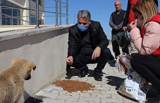 Sokak hayvanlarını besleyen gençlere plaket