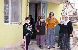 Sokak köpeklerinin saldırdığı kadın yaralandı