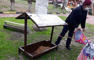 Soma’da sokak hayvanları için korunaklı beslenme...