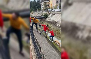Su kanalına düşen köpek insan zinciriyle kurtarıldı