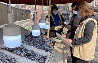 Su ürünleri perakende satış yerleri denetlendi