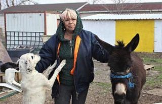 Sucuk olmaktan kurtardığı eşeğe gözü gibi bakıyor