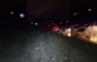 Tarlaya uçan otomobilde 2 kişi yaralandı