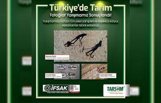 TARSİM Fotoğraf Yarışması sonuçlandı