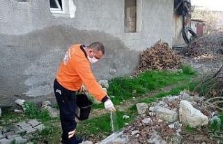 Tarsus’ta zararlılara karşı kış aylarında...