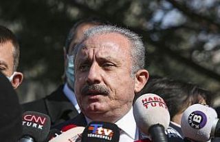 TBMM Başkanı Şentop:"Milletvekili ağır cezalık...