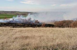 Tekirdağ’da ağaçlık alanda yangın