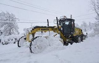 Tekkeköy’de topyekun kar mücadelesi