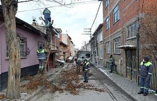 Tepebaşı’nda ağaç budama çalışmaları sürüyor