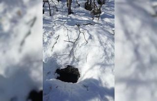 Teröristlere ait yaşam malzemesi ele geçirildi