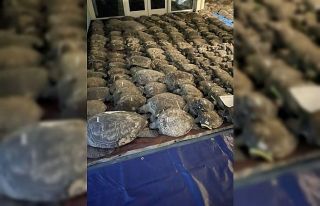 Texas’ta donmak üzere olan 3 bin 500’den fazla...