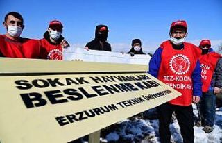 Tez-Koop-İş’ten, ETÜ’nün sokak hayvanlarına...