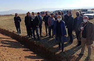 Tıbbi ve aromatik bitkilerin ekimi yaygınlaştırılıyor