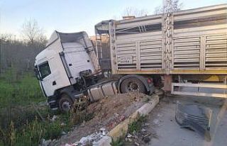 Tır dehşeti: 4 yaralı