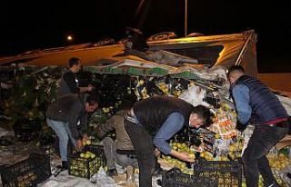Tır devrildi meyveler saçıldı, yardıma hamallar...