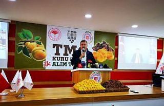 TMO mağazalarında Kayısı satışı başladı