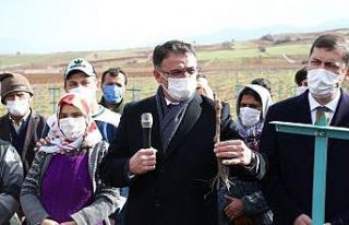 Tokat, tarım ve tarımsal sanayi merkezi olacak