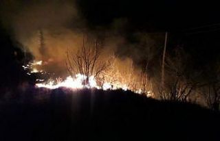 Tokat’taki örtü yangınında 2 hektarlık alan...