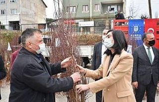 Toprak Büyükşehir’le bereketleniyor
