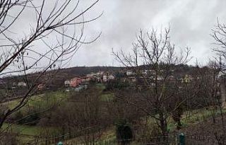 Traktör devrildi, eşini kaybetti