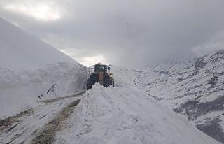 Tunceli-Erzincan karayolu kar nedeniyle tüm araç...