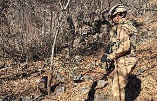 Tunceli’de Eren-7 Mercan-Munzur operasyonunda 2...