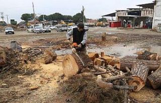 Turgutlu’da budanan ağaç dalları ihtiyaç sahiplerine...
