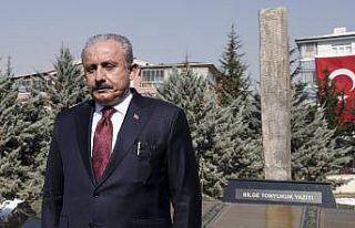 "Türk Dünyası Tonyukuk Parkı" ve Bilge...