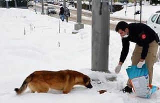 Türk polisinden yürekleri ısıtan hareket