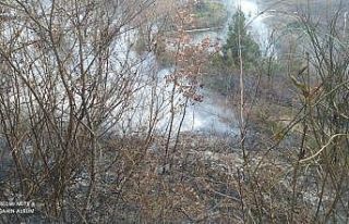 Türkeli’de anız yangını: 1 yaralı