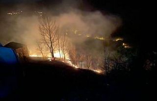 Türkeli’de orman yangını