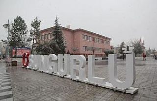Türkiye’de 249 bin 750 Sungurlulu yaşıyor