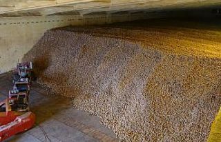 Türkiye’nin ilk ve tek nişasta tesisi Konya’da...