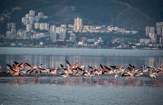 Türkiye’nin ilk Yeşil Şehir Eylem Planı İzmir...