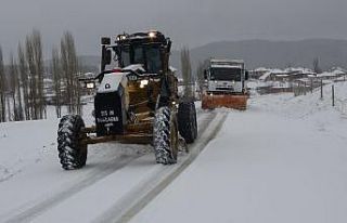 Uşak’ta kar yağışı etkisini gösterdi