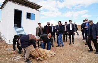 Uzun yıllardır yaşanan su sorununu çözüldü.