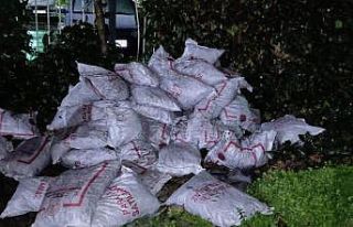 Vagonlardan vakfın kömürlerini çalarken yakalandılar