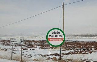 Vaka sayısı artan köy karantinaya alındı
