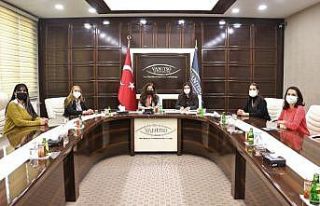 Van ile Hakkarili kadınlar arasında işbirliği